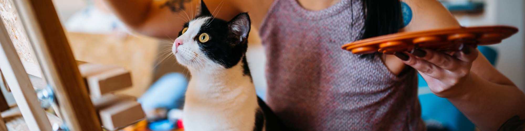 Pet Friendly | University Green Apartments in Houston, Texas