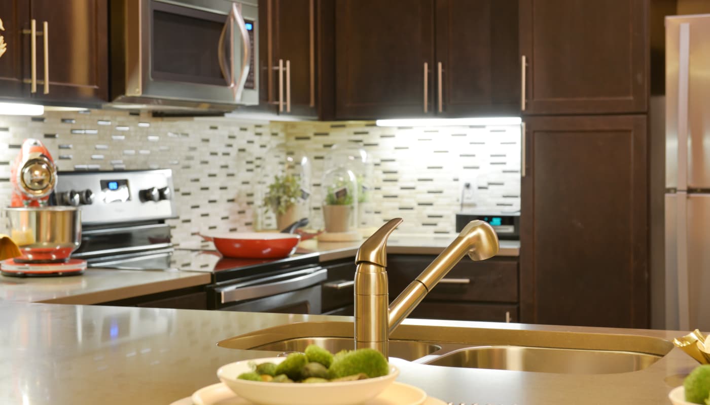 Espresso cabinets and stainless-steel appliances in model home kitchen at Emory Point