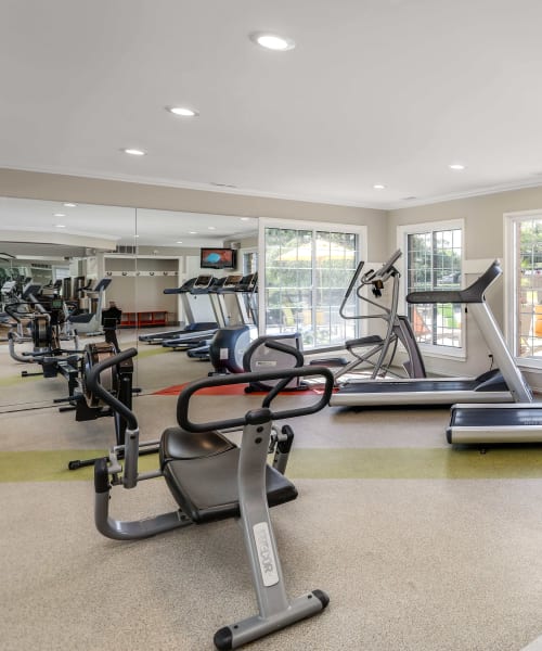 Fitness center with great natural lighting at Saddle Creek Apartments in Novi, Michigan