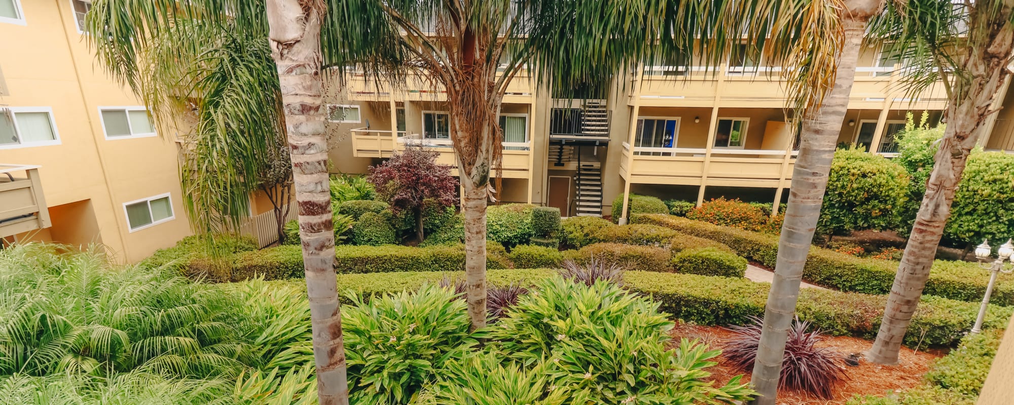 Contact us at Bayfair Apartments in San Lorenzo, California