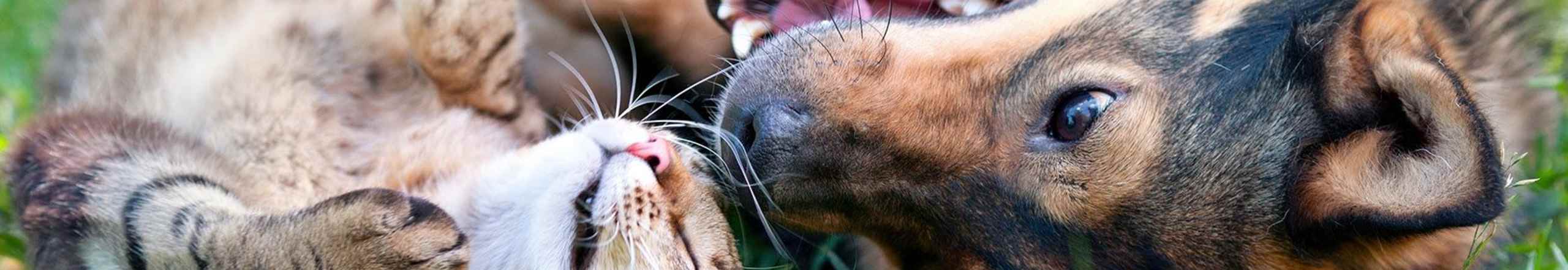  Amenities | Melville Towers in New Bedford, Massachusetts