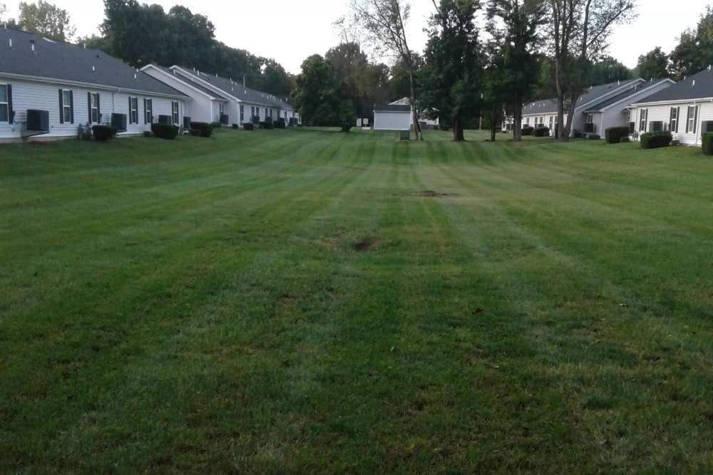 Apartments with open grass lots at Hampton Pointe Senior Living in Three Rivers. MI