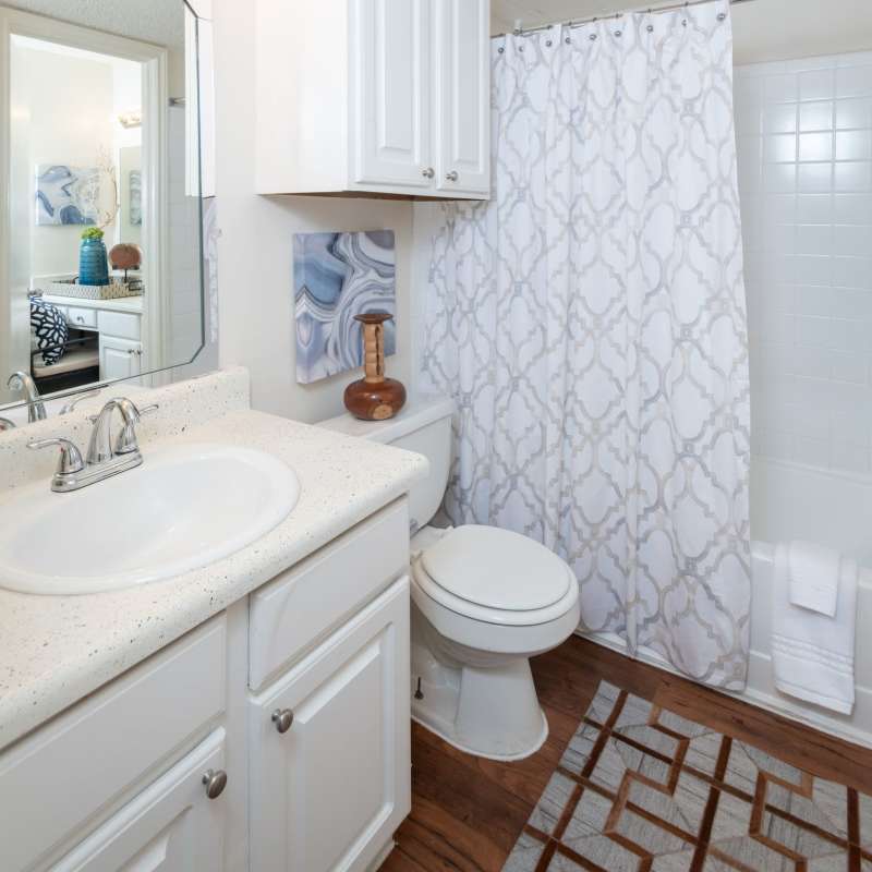 Charming bathroom oasis with modern fixtures and elegant decor at Charter Oak in Euless, Texas.