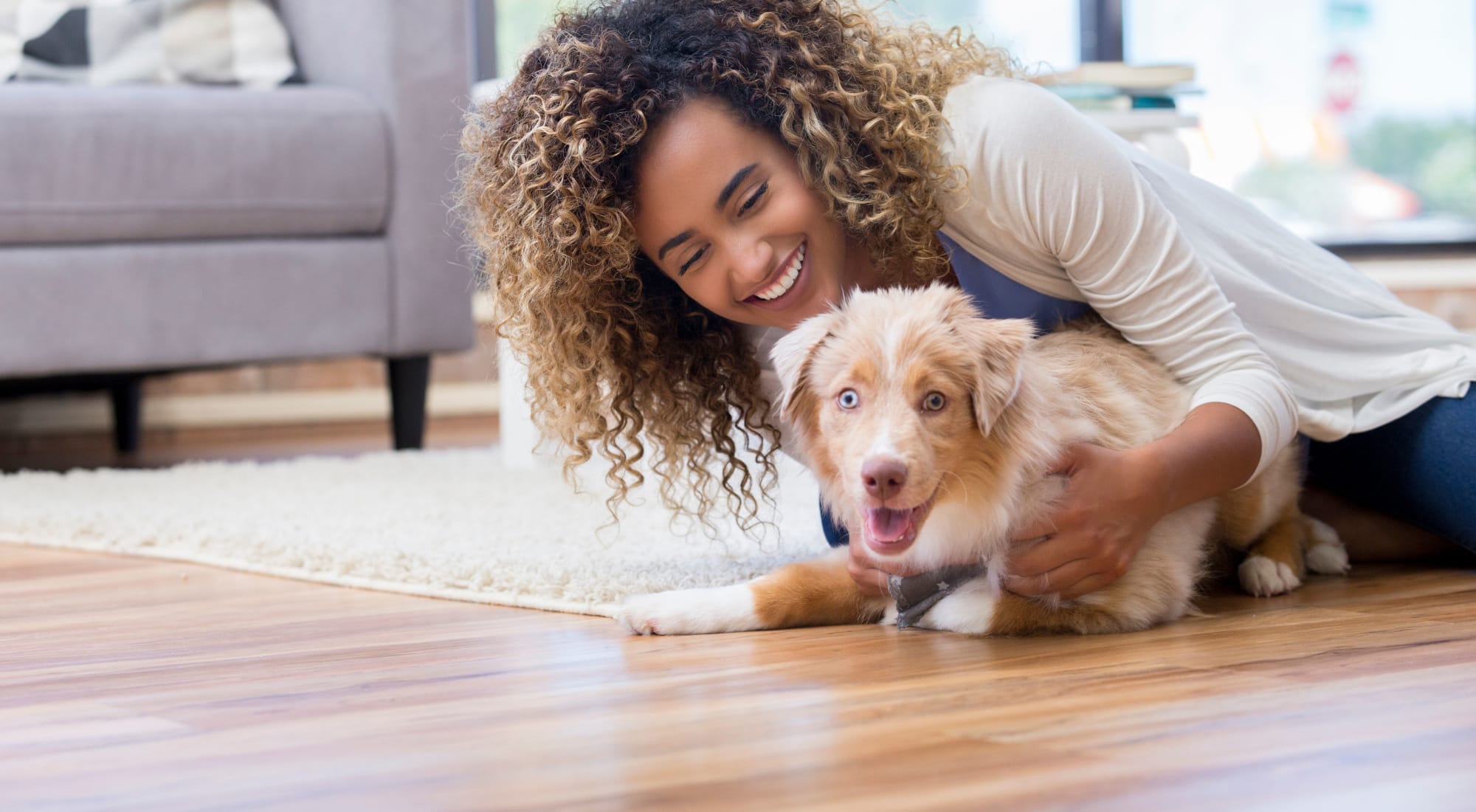 Pet-friendly apartments at The Alcott in Denver, Colorado