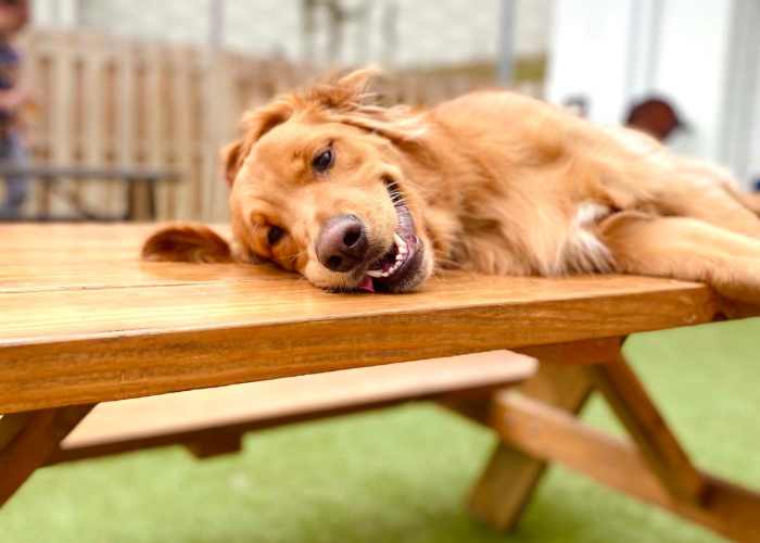 Modern kitchen with elegant dining area and cozy living room at Messina Luxury Apartments in New Smyrna Beach, Florida