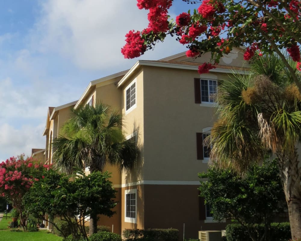 Exterior view with flowering trees at  San Marco Apartments in Ormond Beach, Florida