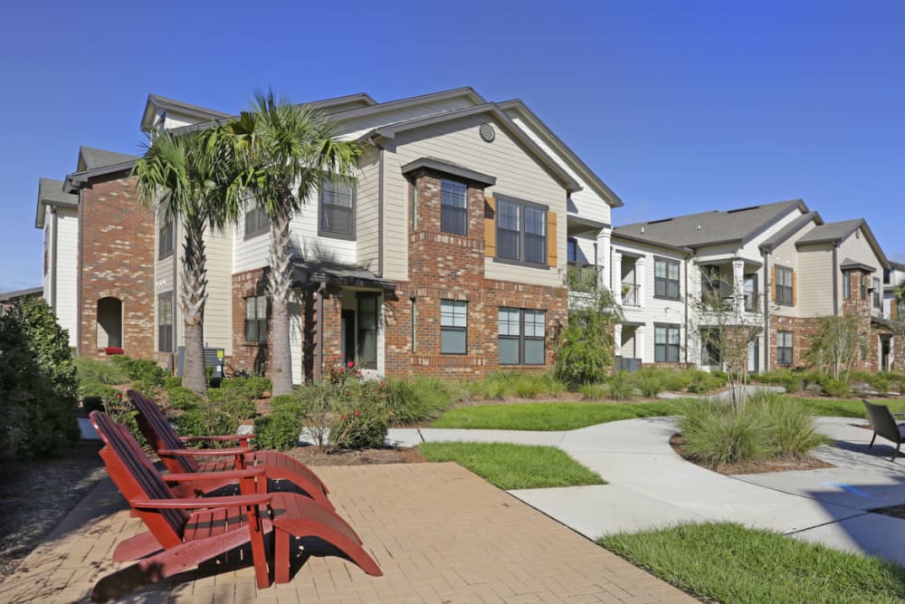 Adirondack chairs and palm trees at The Hawthorne in Jacksonville, Florida