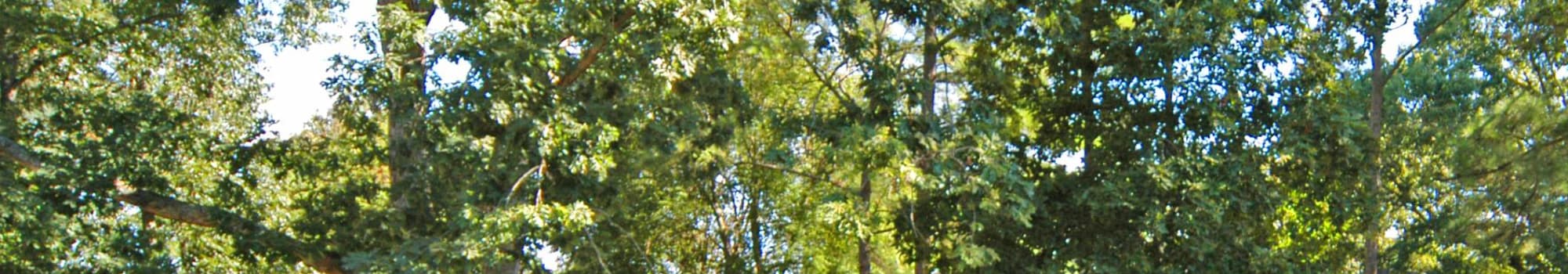 map & directions to Greens at Schumaker Pond