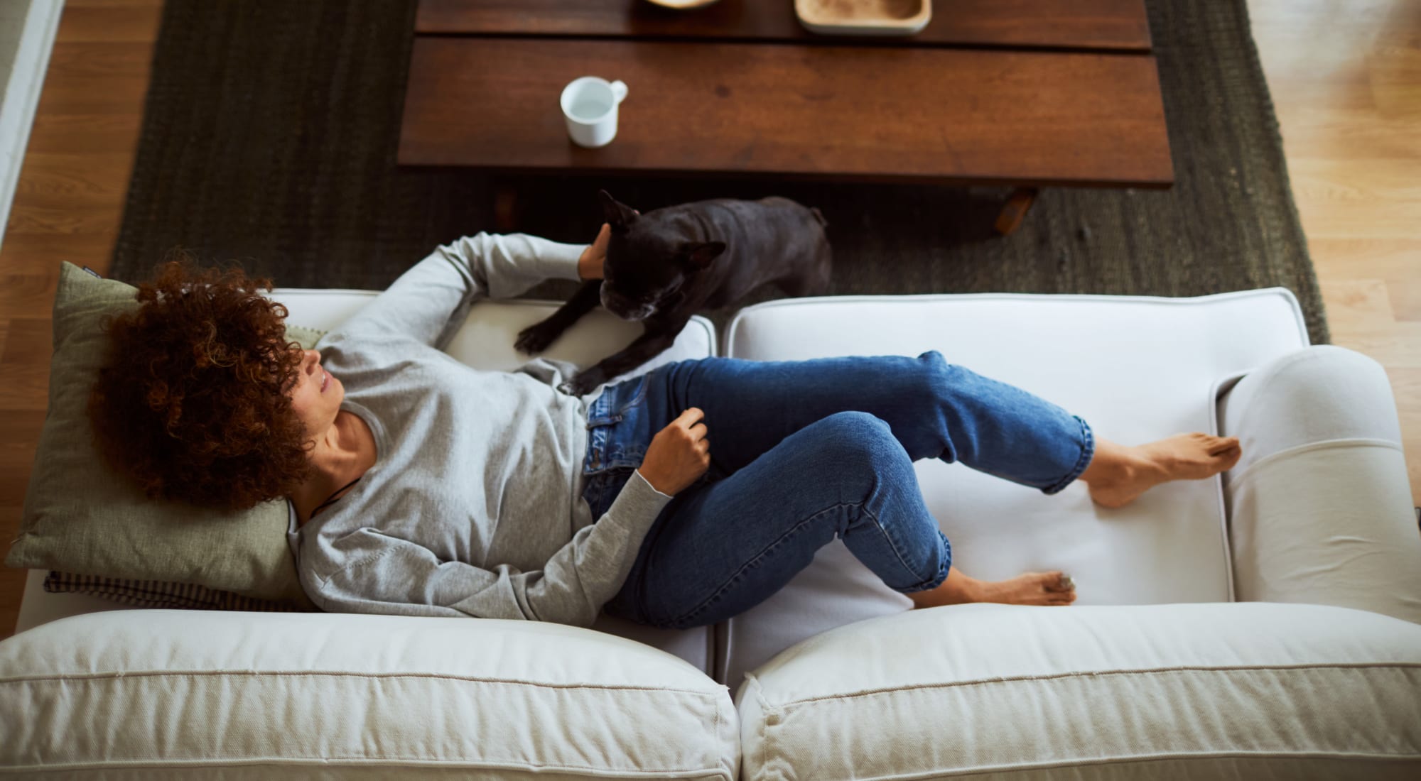 Pet-friendly apartments at Hampden Heights Apartments in Denver, Colorado