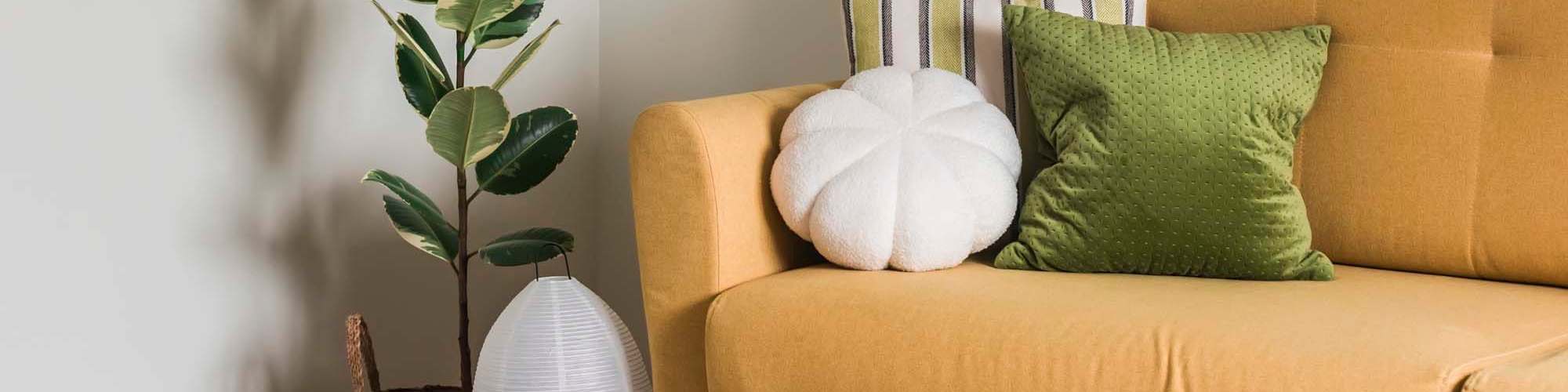 Amenities at Ridge Commons in Lafayette, Louisiana