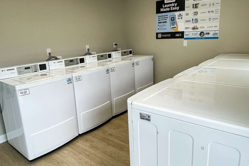 Bright laundry room featuring multiple white washers and dryers on wood-style flooring at Village Springs Apartments in Defuniak Springs, Florida