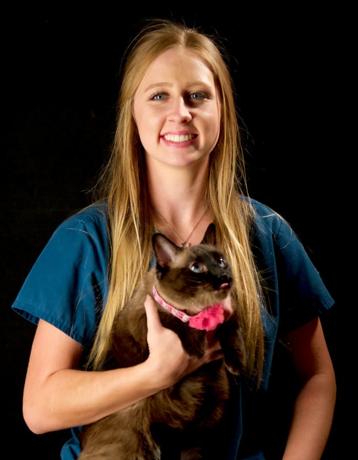 Hailey at Arizona Avenue Animal Clinic in Chandler, AZ
