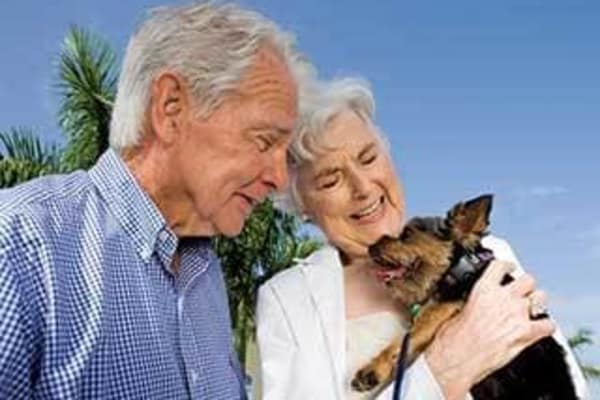 Small Pets are welcome at Discovery Commons At Wildewood in California, Maryland