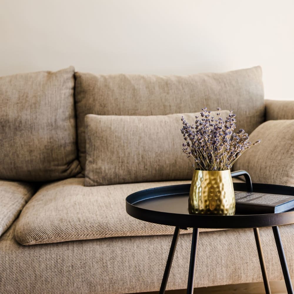 Comfy sofa in model apartment at Eden at Bexley Crossing in Columbus, Ohio