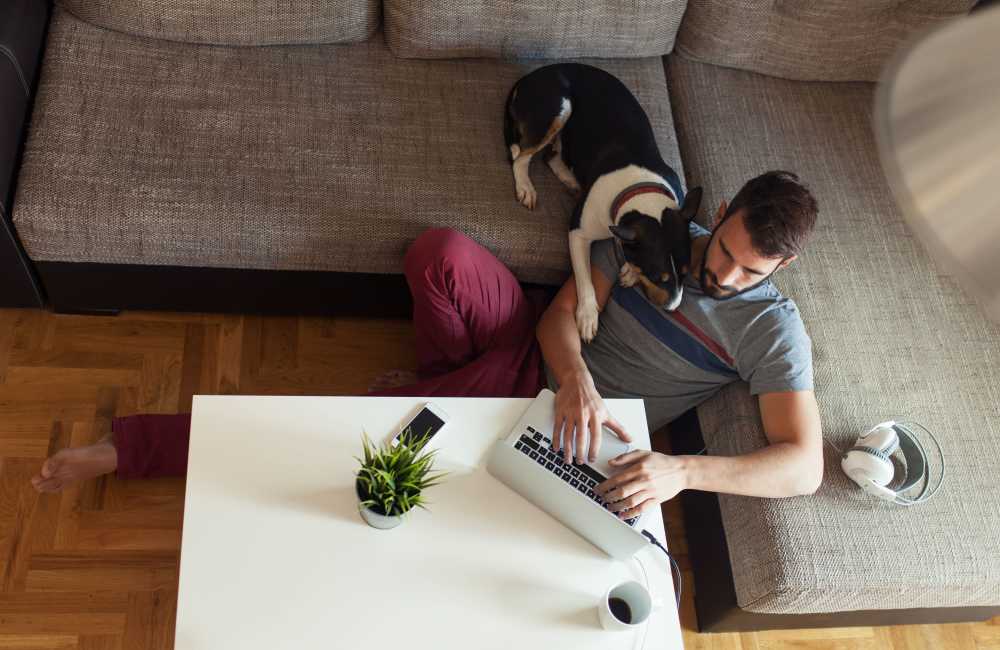 Dog cuddling resident on his laptop at The Volaire in Charlotte, North Carolina
