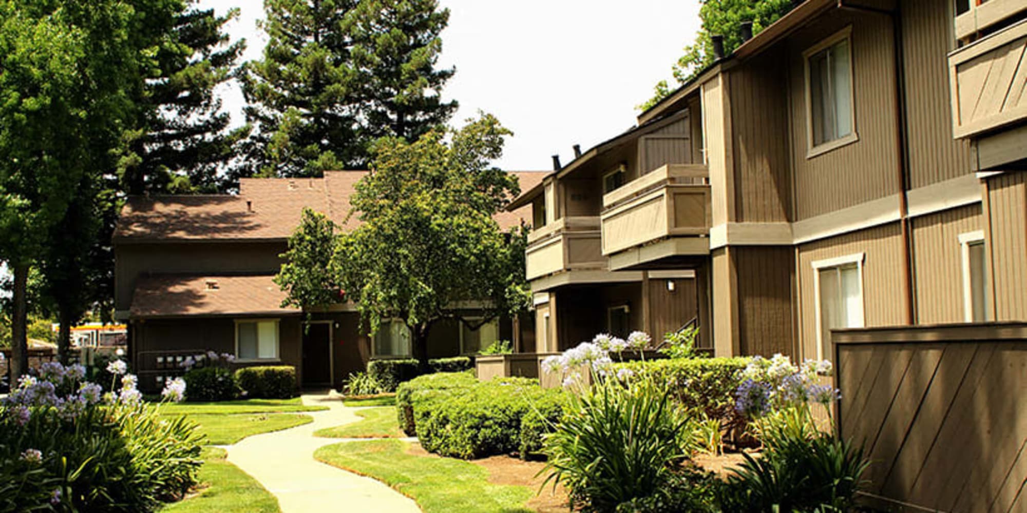 Exterior view with green landscaping at Shasta Terrace in Vacaville, California