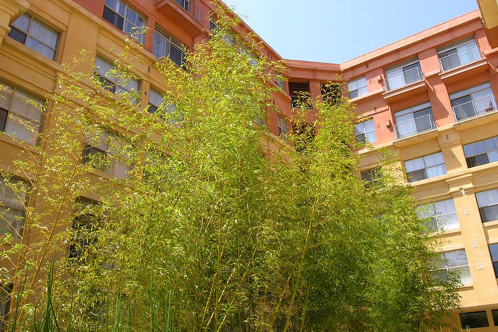 Spacious and beautiful common areas at 1010 Pacific Apartments