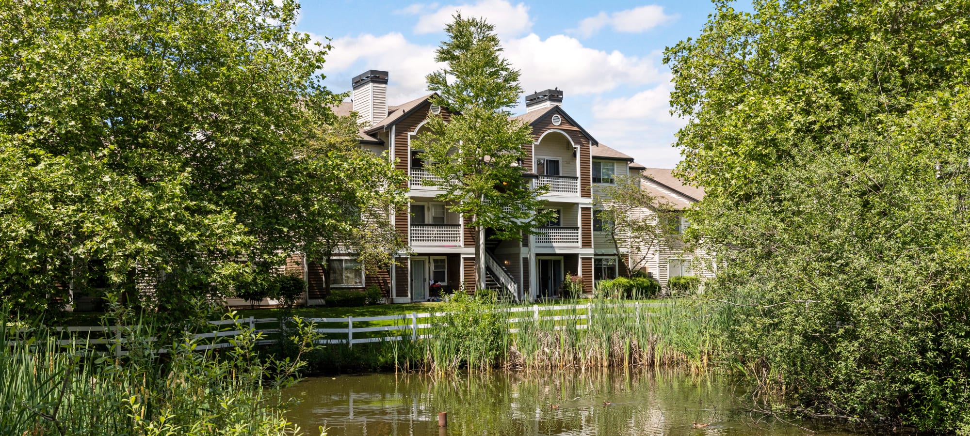 Everett, Washington apartments at Olin Fields Apartments