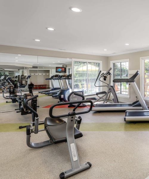 Cardio and strength training equipment in the fitness center at Saddle Creek Apartments in Novi, Michigan