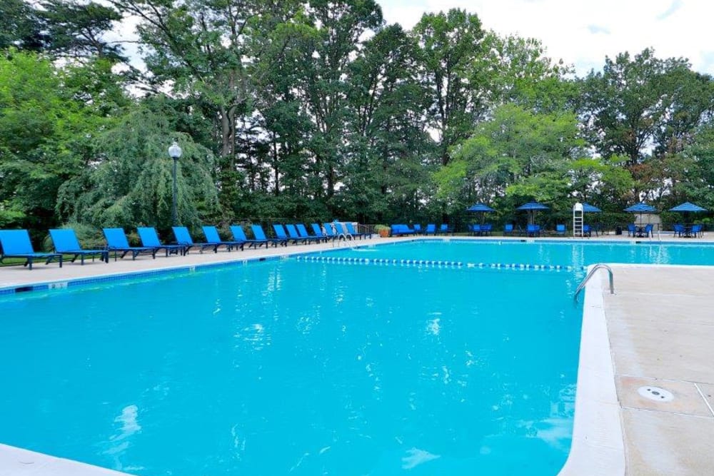 Expansive swimming pool surrounded by lounge chairs and patio tables with umbrellas at Stoneridge at Mark Center Apartment Homes in Alexandria, Virginia