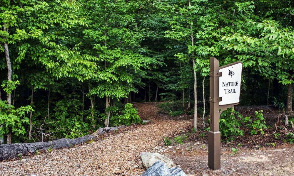 Natural trail at Avonlea Tributary in Lithia Springs, Georgia