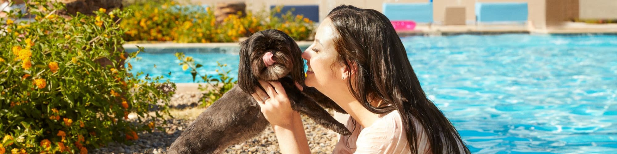 Pet-friendly apartments at BB Living Union Park in Phoenix, Arizona