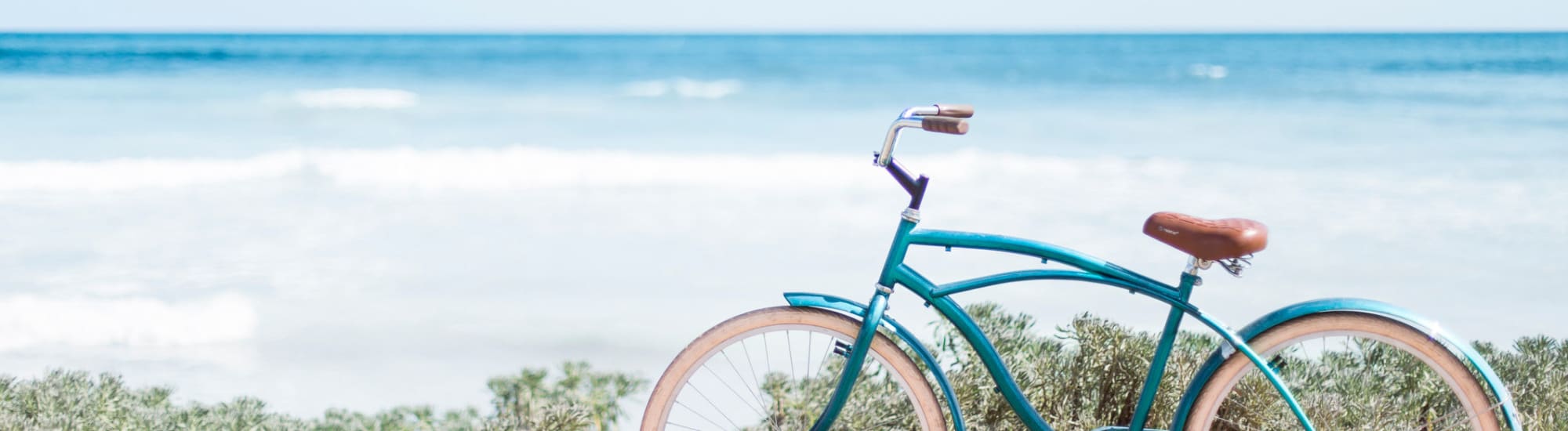 Neighborhood information for Cadence at Nocatee in Ponte Vedra, Florida