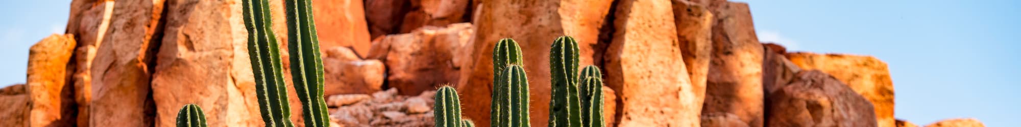Community policies at Ventana Canyon Apartments in Albuquerque, NM