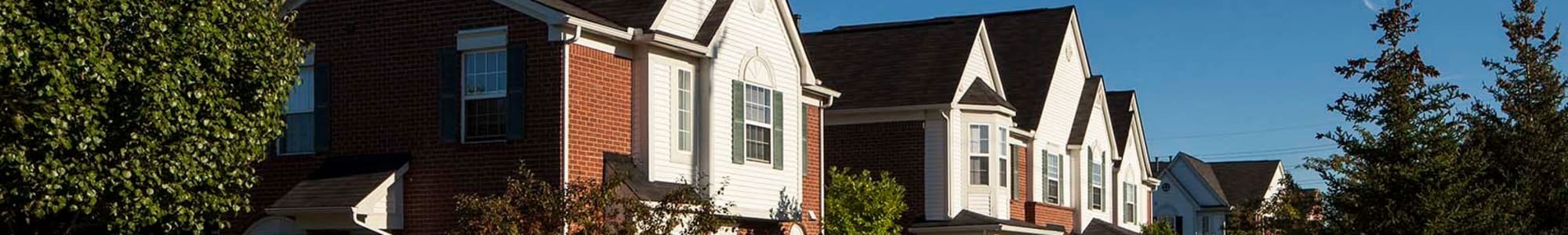 Pet friendly apartments in Canton