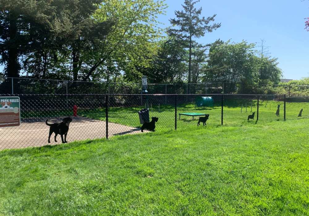 Outdoor fenced dog park at Foundry on Fifth in Renton, Washington