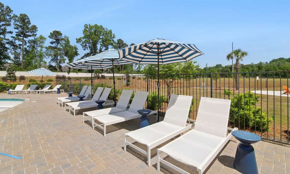 Resort-style pool area with lounge chairs and striped umbrellas surrounded by greenery at Everett at Port Wentworth in Port Wentworth, Georgia
