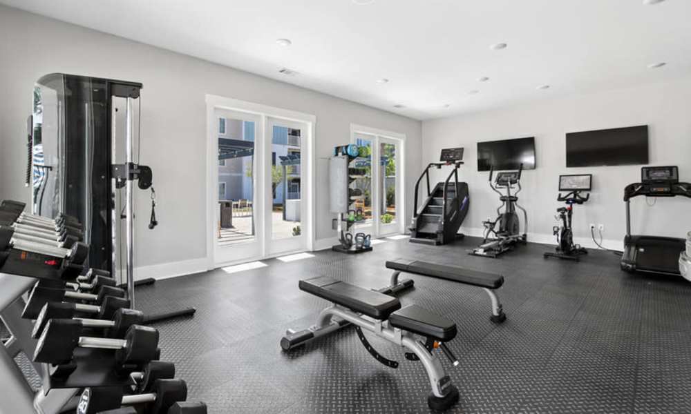 Modern fitness center with cardio machines, weight benches, and large windows for natural light at Everett at Port Wentworth in Port Wentworth, Georgia