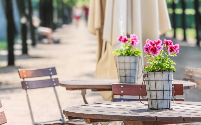 potted plant on a table outside at Hidden Pines in Athens, Georgia