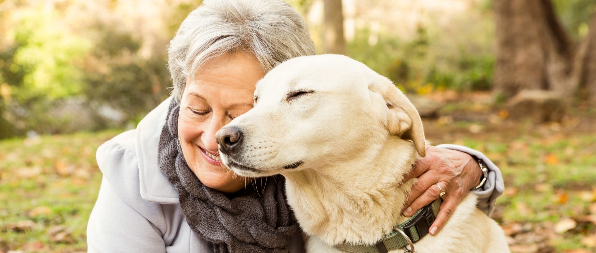 Photo Gallery at Westminster Memory Care in Aiken, South Carolina