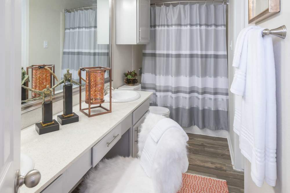 Apartment bathroom at Copper Chase in Arlington, Texas
