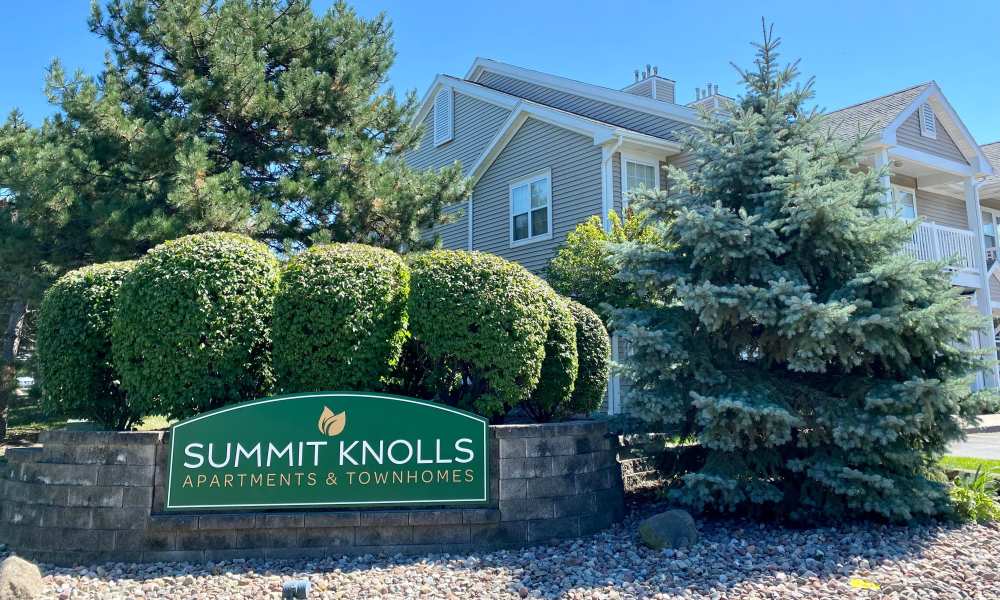 Resident friends in a nearby park at Summit Knolls Apartments & Townhomes in Webster, New York 