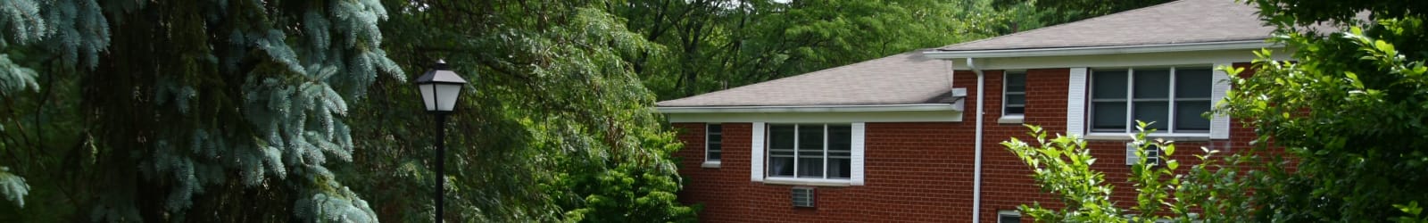 Pet friendly apartments in Randolph, New Jersey