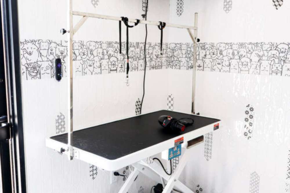 Electric pet grooming table with an adjustable H-bar at Savannah Square & Savannah Harbor in Norman, Oklahoma