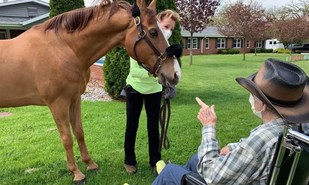 young Horse from a local Petting zoo visiting residents at Fair Oaks Health Care Center in Crystal Lake, Illinois