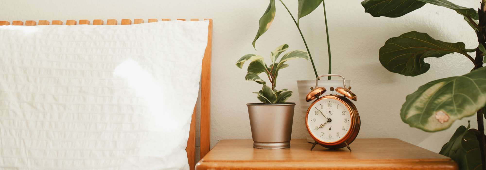 Accessibility statement at Crestone Apartments in Aurora, Colorado