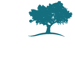 Enclave at Highland Ridge