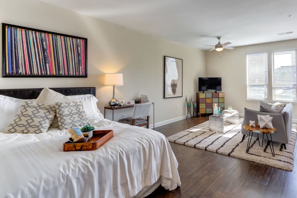 Beautifully decorated studio apartment at The Point at Town Center in Jacksonville, Florida