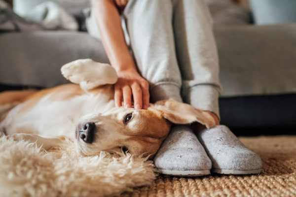 Spacious bedroom decorated in calm, neutral tones at Keystone At Mebane Oaks in Mebane, North Carolina