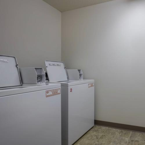 Dog sitting on it's bed at 2202 Luann Place Apartments in Madison, Wisconsin