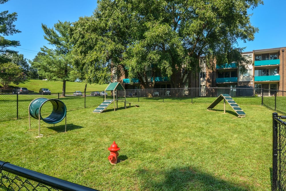 Fenced onsite dog park with agility equipment at Landmark Glenmont Station in Silver Spring, Maryland