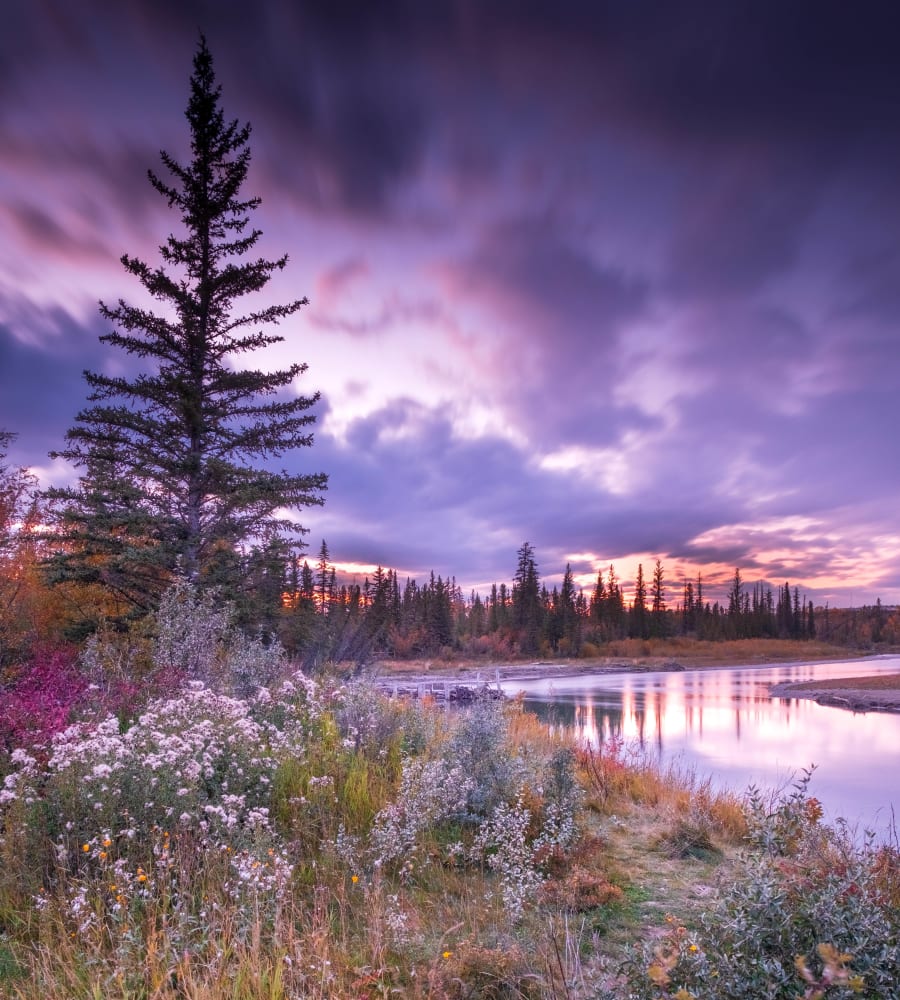 Beautiful Weaslehead Park is easily accessible from the neighbourhood of Lakeview in Calgary and has many kilometres of bike and walking trails