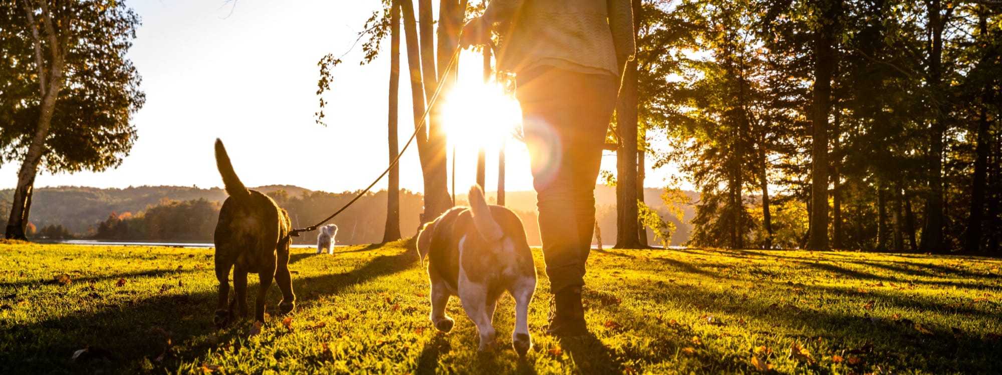 Rippling Stream Townhomes's pet policy in Durham, North Carolina