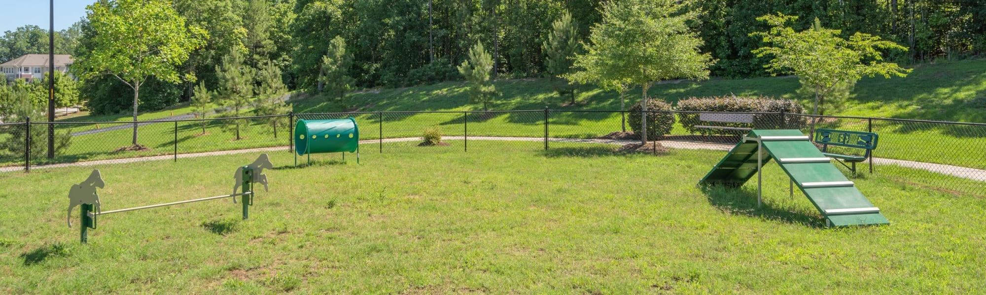 Pet-friendly apartments at Sterling Town Center in Raleigh, North Carolina