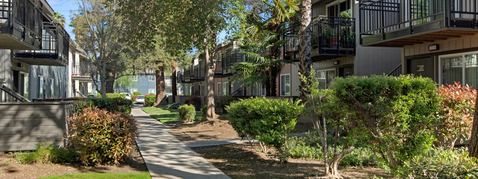 Neighborhood near The Archer in Sacramento, California