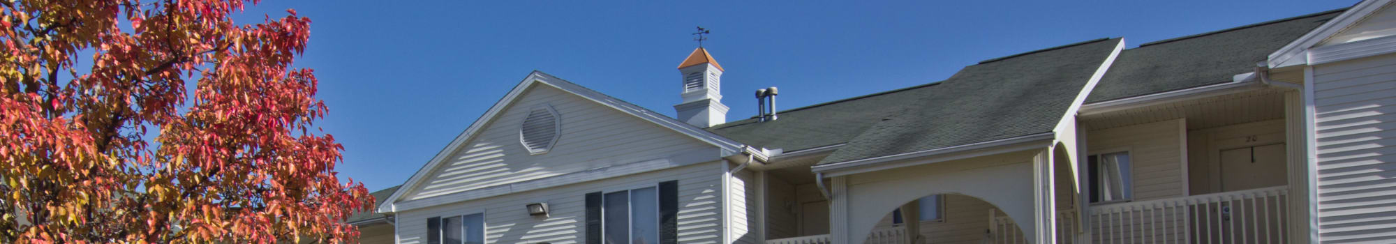 Steeplechase Apartments & Townhomes welcomes pets